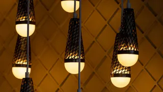 В Рязани из-за опиловки аварийных деревьев будут отключать электричество