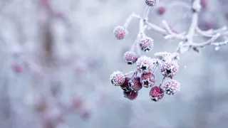 О погоде в Рязани - рабочая неделя обещает быть снежной