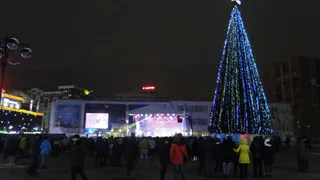 Рязанская полиция рассказала о "комендантском часе" и употреблении алкоголя в новогоднюю ночь