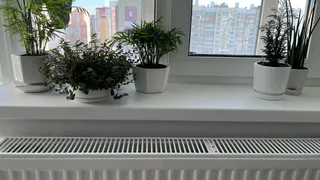 "Цветы расти не будут": 5 условий, без которых на подоконниках стоят лишь сухие палки - запомните раз и навсегда