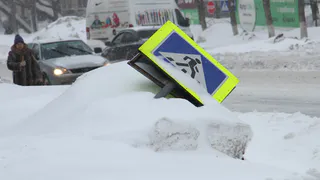 Рязанских водителей мало штрафуют за невнимание к пешеходам