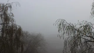 Ночью Рязань накроет густой туман