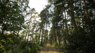 Рязанцев попросили быть осторожнее с огнём в жаркий период