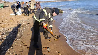 Жительница Коми встретила Новый год, отмывая от мазута и спасая птиц