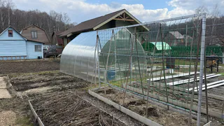 В октябре провожу искореняющую обработку одним средством — за 700 рублей защищаю сад от вредителей на весь сезон