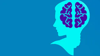 Ученые рассказали, что нужно делать для улучшения работы вашего мозга