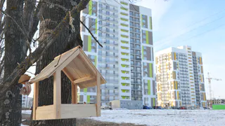 8 января в Рязанской области ожидается дождь и до +4