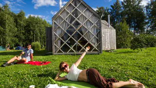 Секрет богатого урожая: копеечная подкормка для рассады весной