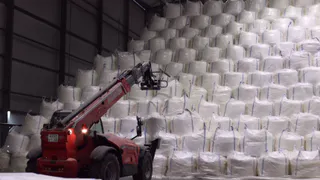 В 2024 году Пензенская область поставила рекорд по производству сахара