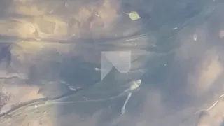 Жители Рязани засняли мертвых лягушек и рыбу в реке Лыбедь