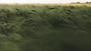 Метеопредупреждение: в Рязани ожидается усиление ветра