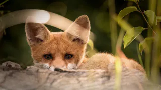 Тест из 10 каверзных вопросов! Эрудиция здесь не поможет