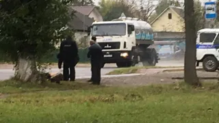 Соцсети: в Бежице нетрезвого мужчину насмерть сбила машина