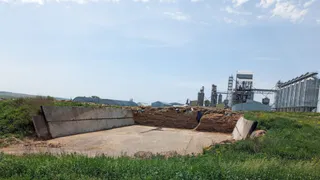 «Село высказалось против»: жители с. Истье недовольны строительством свинокомплекса 