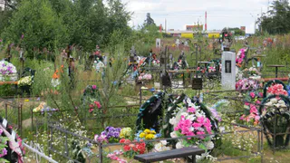 Рязанцы превращают погосты в пластмассовые оранжереи
