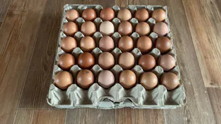 Обходят за километр: почему работники магазинов и птицефабрик не покупают яйца категории С0 - даже по скидке