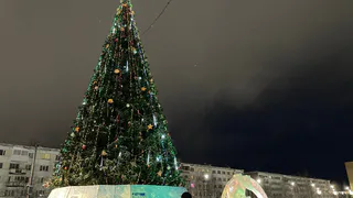 Жительница Коми осталась без елки и украшений на Новый год из-за мошенников