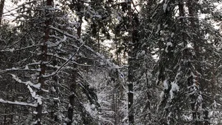 Жгучие морозы ожидаются в Пензенской области с 4 января