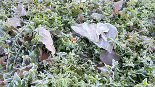 Прогноз погоды: к выходным в Рязани потеплеет