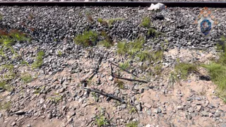 Под Казанью рыбак задел удочкой железнодорожные провода и погиб от удара током в 27 киловольт