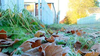 Жителей Челябинской области ожидает морозная погода без осадков 13 ноября