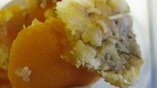 Средиземноморская муха пыталась проникнуть на Брянщину в турецких фруктах