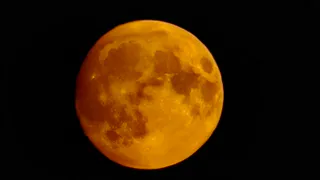 Жители Рязани поделились снимками суперлуния