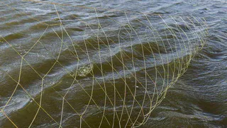 Рыбалка в заказнике обернулась для жителя Коми штрафом