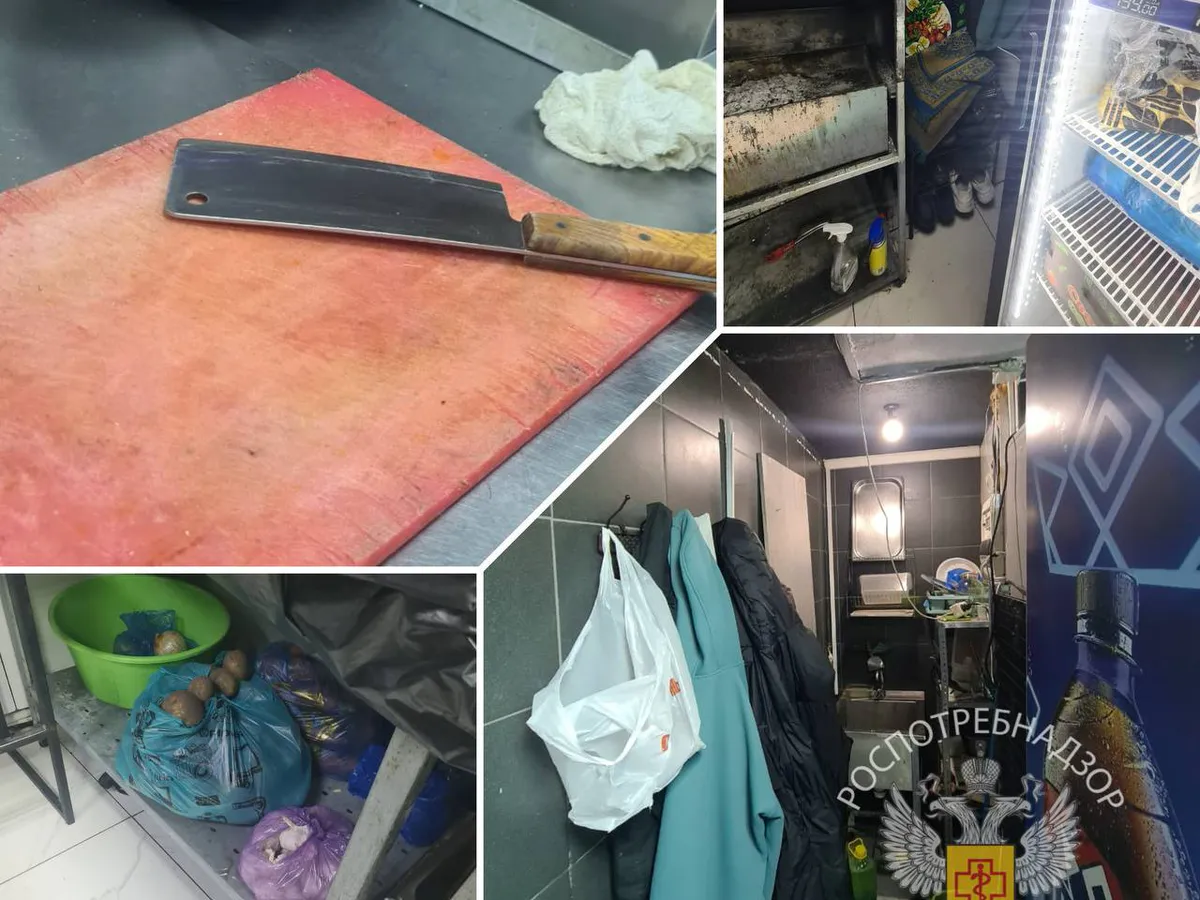 В Казани на 45 суток приостановили работу «Шаурмы на углях» из‑за грубых санитарных нарушений