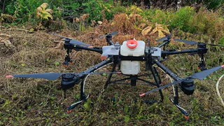 Во исполнение нового закона власти и землевладельцы Коми объединятся против борщевика