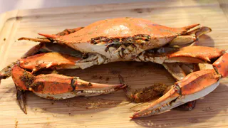 Находим 3 буквы: как отличить вкусные крабовые палочки от бросовых — секрет не в цене, рассказал эксперт