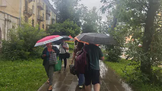 Июль в Рязанской области побил рекорды по осадкам