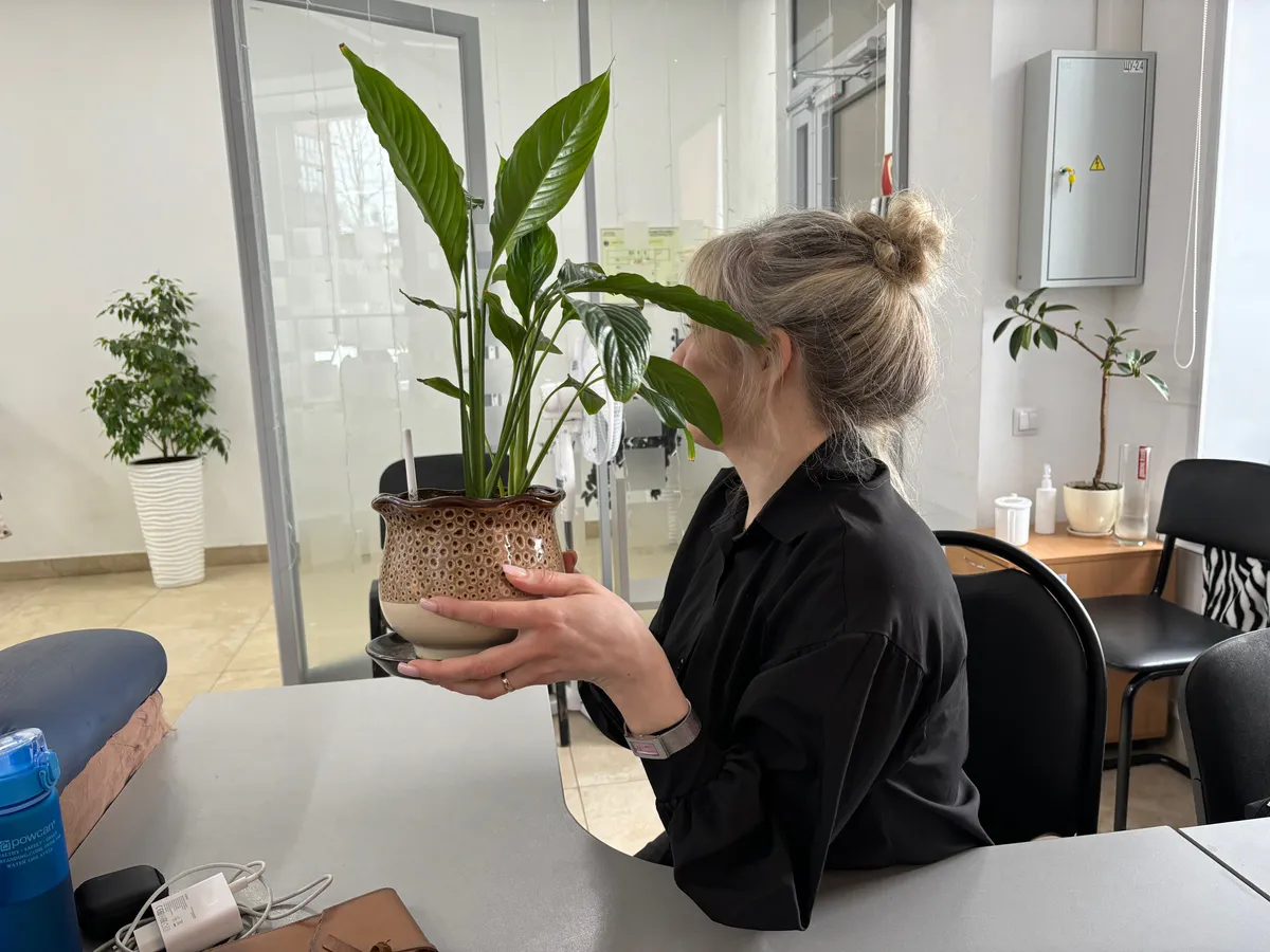 Как подготовить комнатные растения к зиме: 5 заповедей, о которых не знают даже опытные цветоводы