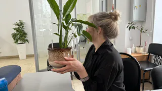 Как подготовить комнатные растения к зиме: 5 заповедей, о которых не знают даже опытные цветоводы