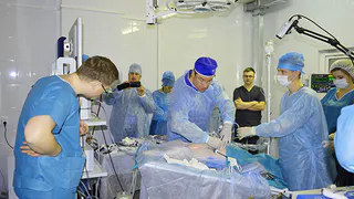 Рязанские студенты-медики будут проводить операции на поросятах