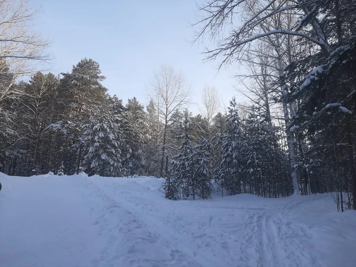 Сегодня резкое понижение температуры и метель
