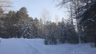 Зима не хочет уходить: в Татарстане резко похолодает до -24˚ С