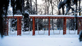 Пользователи соцсети спорят о реконструкции парка в Пензе