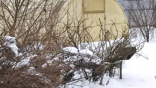 Уберите его немедленно: не всякий снег годится для укрытий: вот что нужно сделать дачникам на участке в январе