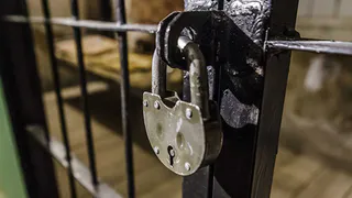 В Татарстане посадили вожатого за издевательства над подопечными