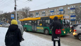 В Пензе принято решение о едином стиле для троллейбусов и автобусов