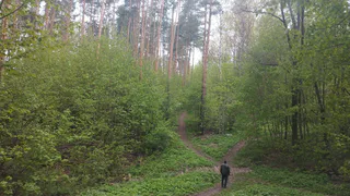 Два фермера поняли, что сельским хозяйством семью не прокормишь, собрали вещи, семьи и ушли в лес: что они придумали