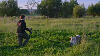 Волонтер Лиза Алерт: "Пошел слух - найдена погибшая женщина. Все внутри перевернулось: неужели не успели?"