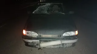 Под Рязанью насмерть сбили шедшего по дороге 33-летнего пешехода