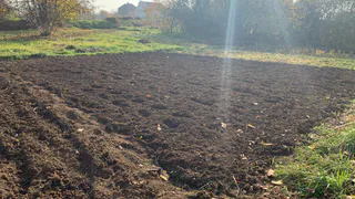 Лучше навоза и компоста вместе взятых: после схода снега рассыпаю по грядкам — и почва становится мягкой, как пуховое одеяло