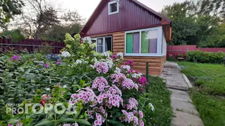 Одно из самых популярное растений у дачников запретили выращивать: новое правило с июня