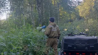 В Глазовском районе заблудились три человека