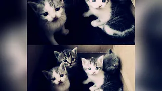 Instagram рязанцев: вот это малина, взгляд вовнутрь, картина маслом