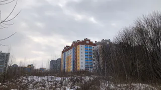 2 ноября в Рязанской области ожидается мокрый снег и до +7