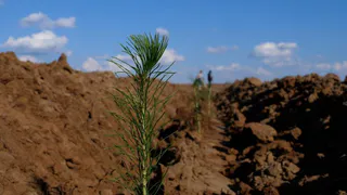 В Нижнекамском районе провели масштабную рекультивацию илонакопителей